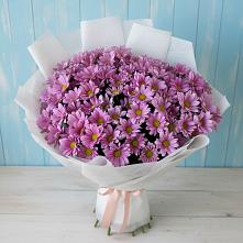 Букет цветов из:  Хризантемы в Михнево