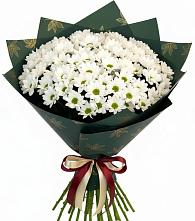 Букет цветов из:  Хризантемы #REPLACE_PRED# Михнево