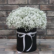 Цветочная композиция из Гипсофила в шляпной коробке в Михнево